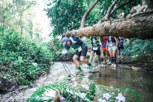 BIB: 
                            <button type="button" onclick="openModal(25450068)" class="btn btn-primary btn-sm float-right btn-popup" data-toggle="modal" data-target=".modal-high-quality">
                        <i class="fas fa-shopping-cart"></i> Add to Cart
                    </button>
                                            <button type="button" onclick="isThisMe(25450068, true)" class="btn btn-success btn-sm float-right btn-popup btn-isme hidden" data-toggle="tooltip" data-placement="bottom" title="นี่คือรูปของคุณใช่ไหม คลิกที่นี่เพื่อเอาเข้าอัลบั้ม">
                        <i class="fas fa-plus"></i> Add to album
                    </button>
                    <button type="button" onclick="isThisMe(25450068, false)" class="btn btn-warning btn-sm float-right btn-popup btn-isnotme hidden">
                        <i class="fas fa-ban"></i> Remove from album
                    </button>